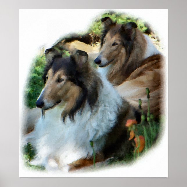 Rough Collie Geschenk der Kunst Poster (Vorne)