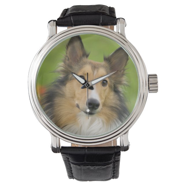 Rough Collie, Hund Armbanduhr (Vorderseite)