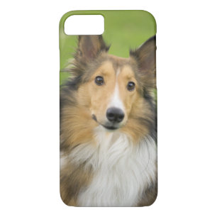 Rough Collie, Hund Case-Mate iPhone Hülle