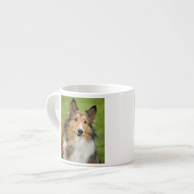 Rough Collie, Hund Espressotasse (Vorderseite Links)