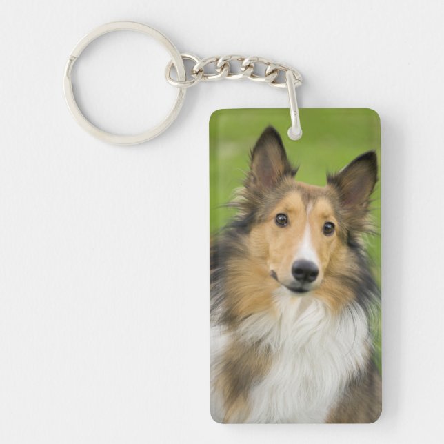 Rough Collie, Hund Schlüsselanhänger (Vorderseite)