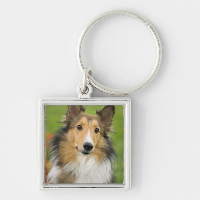 Rough Collie, Hund Schlüsselanhänger (Vorne)