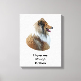 Rough Collie Hundeportrait Foto Leinwanddruck