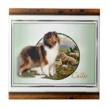 Rough Collie Keeper vom Schafe