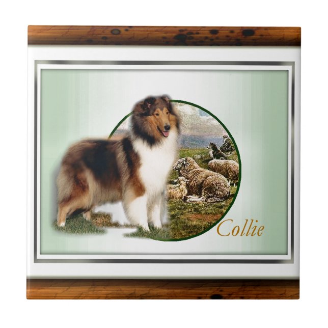 Rough Collie Keeper vom Schafe Fliese (Vorderseite)