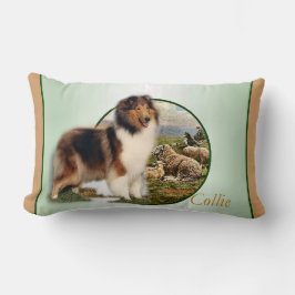 Rough Collie Keeper vom Schafe Lendenkissen