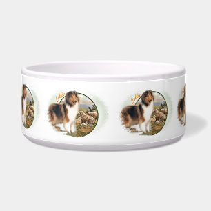 Rough Collie Keeper vom Schafe Napf