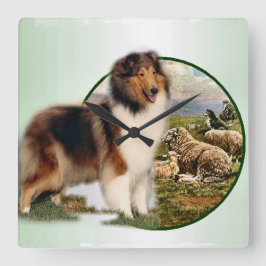 Rough Collie Keeper vom Schafe Quadratische Wanduhr