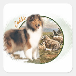 Rough Collie Keeper vom Schafe Quadratischer Aufkleber