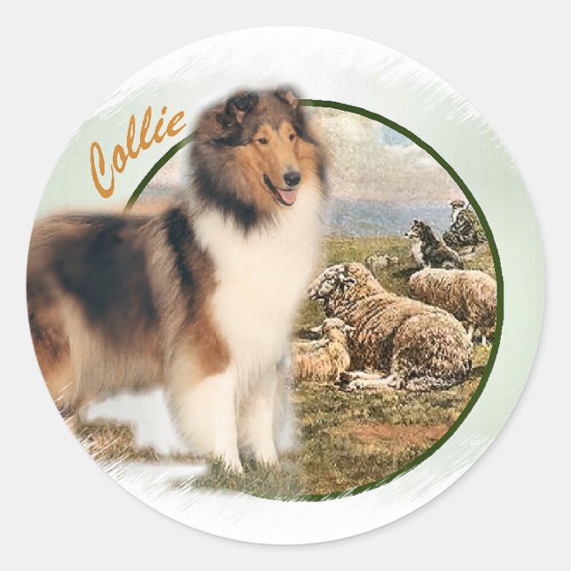 Rough Collie Keeper vom Schafe Runder Aufkleber (Vorderseite)