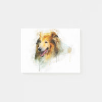 Rough Collie / Long-haarige Collie