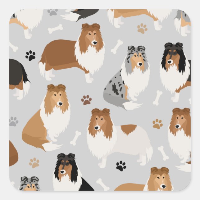 Rough Collie Paws and Bones Square Sticker (Vorderseite)