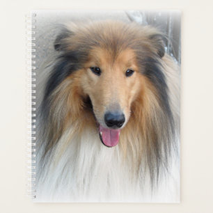 Rough Collie Portrait Planer