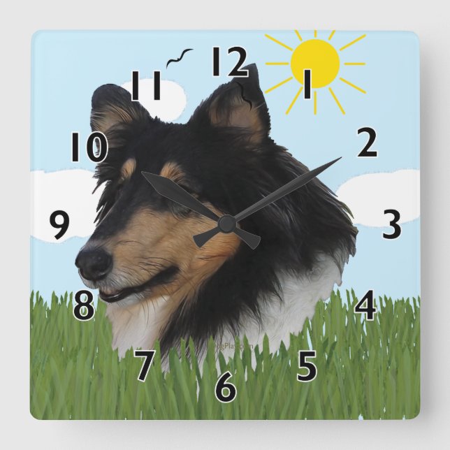 Rough Collie Portriat Quadratische Wanduhr (Vorderseite)