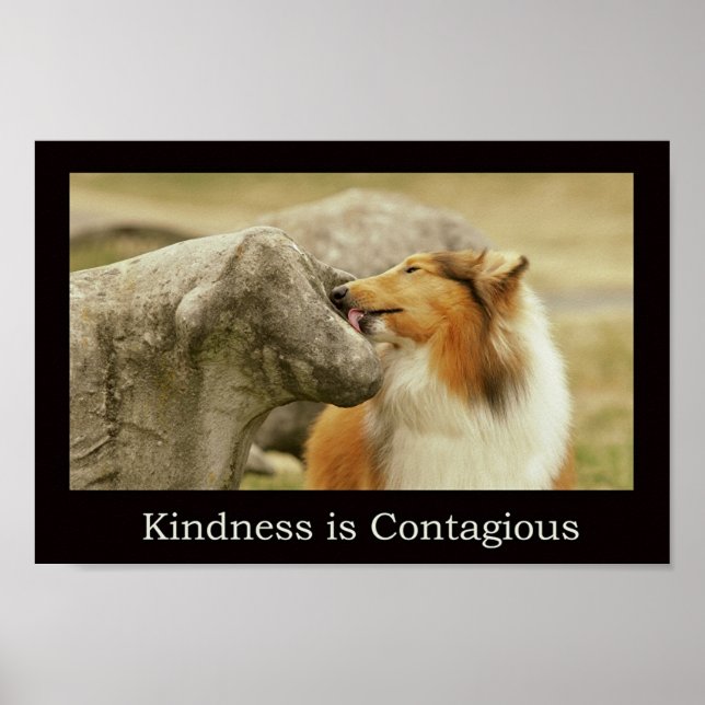 Rough Collie Poster " Kindness is Contagious" (Vorne)