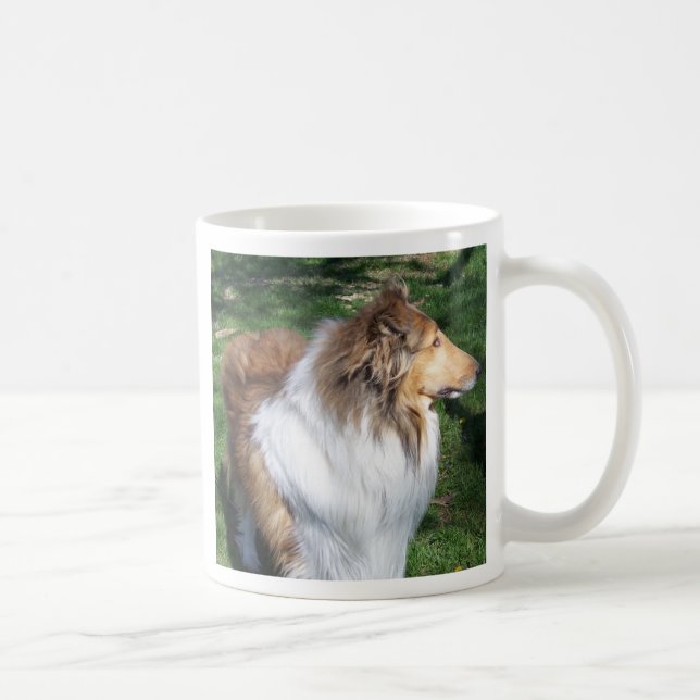 ROUGH COLLIE - SABLE TASSE (Rechts)
