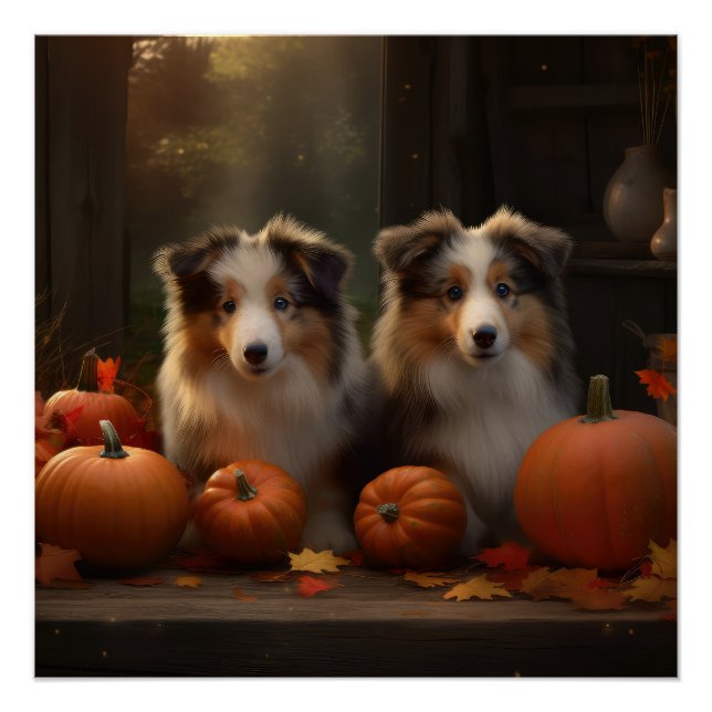 Rough Collie Welpe Autumn Delight Pumpen Poster (Vorderseite)