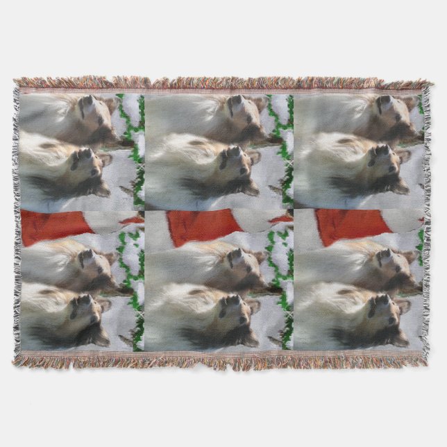Rough Colliese treffen Weihnachten Decke (Vorderseite)