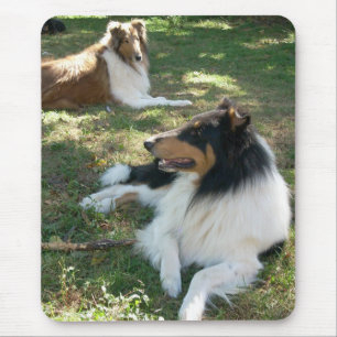 Rough Collieses Mousepad
