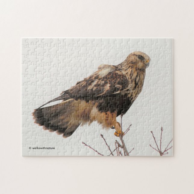Rough-Legged Hawk im Baum Puzzle (Horizontal)
