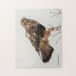 Rough-Legged Hawk im Baum Puzzle