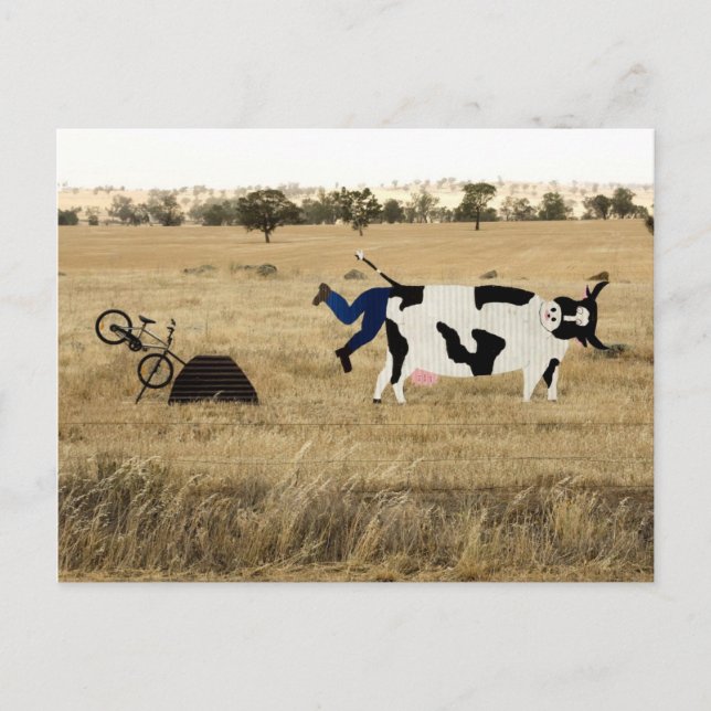 Rough Riding Postkarte (Vorderseite)