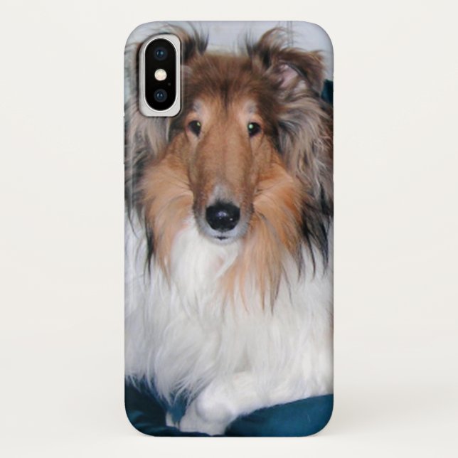 Rough Sable Collie Case-Mate iPhone Hülle (Rückseite)
