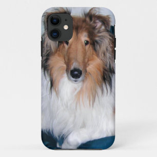 Rough Sable Collie iPhone 5 Fall Case-Mate iPhone Hülle