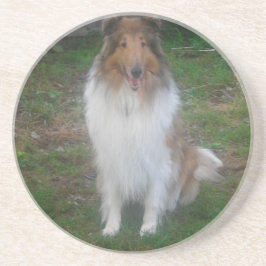 Rough Sable Collie Untersetzer