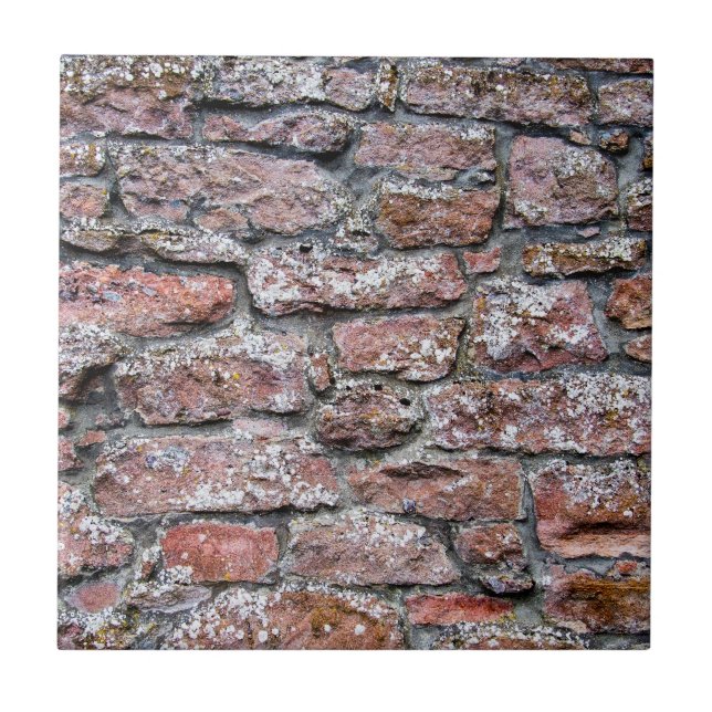 Rough Stone Wall Fliese (Vorderseite)