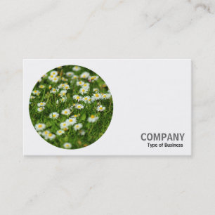 Round Foto - Daisies Visitenkarte