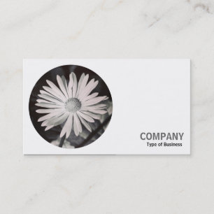 Round Foto - Daisy B&W Visitenkarte