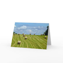 Round Hay Bales on Hill - I