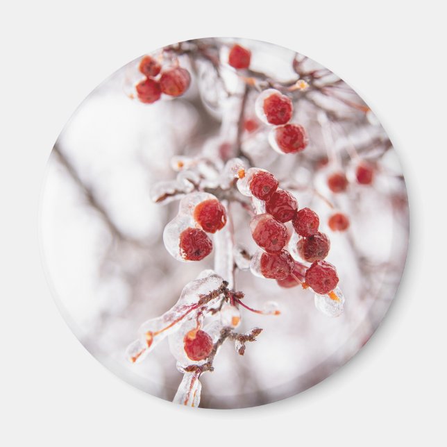 Round Magnet (Vorne)