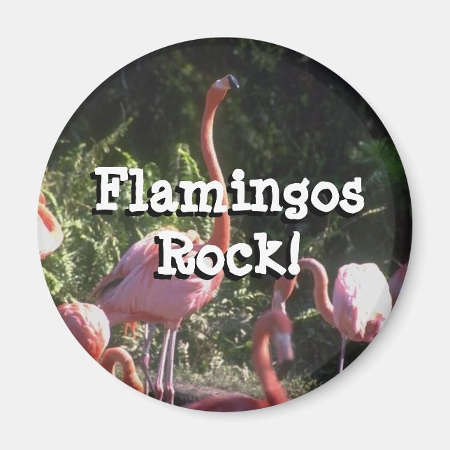 Round Magnet (Vorne)