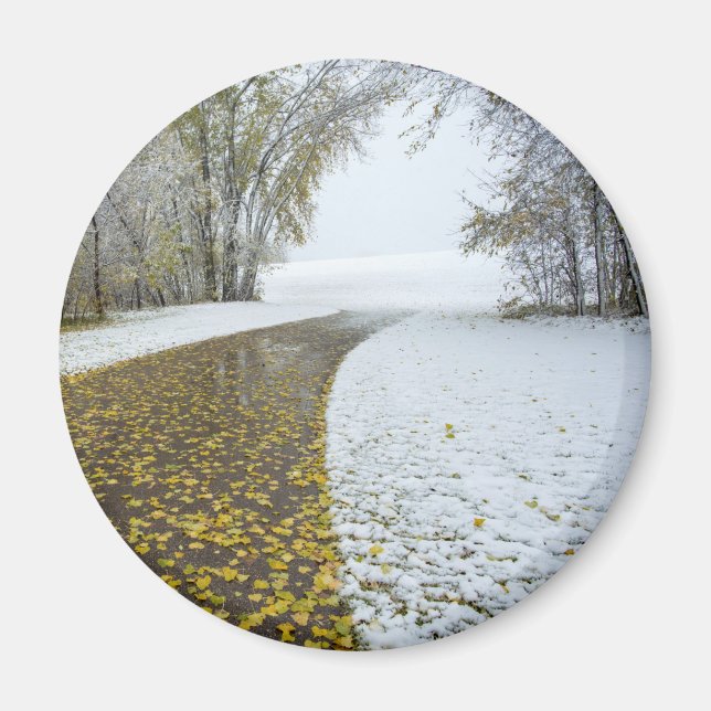 Round Magnet (Vorne)