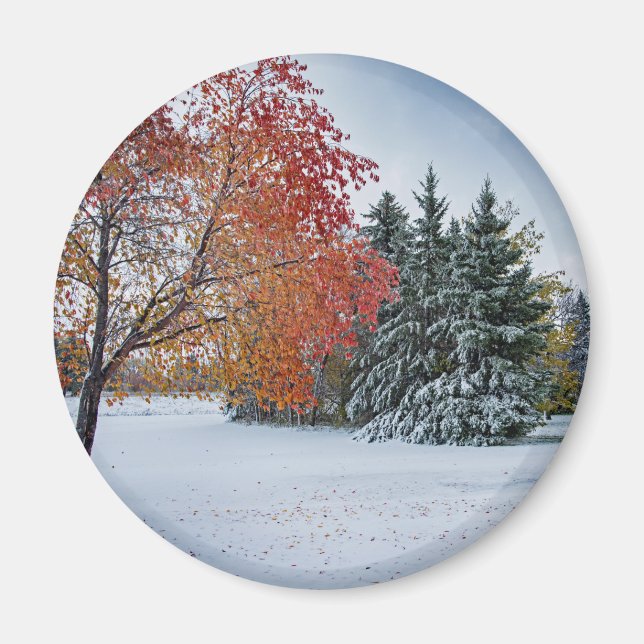 Round Magnet (Vorne)