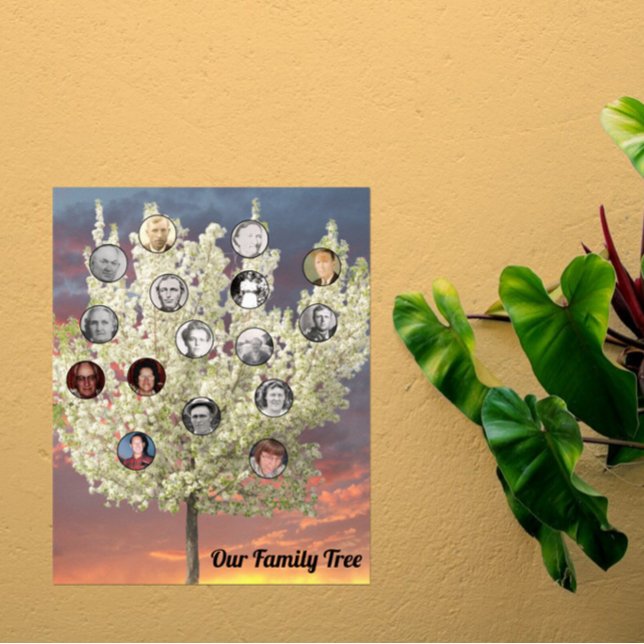 Round Photos with White Blossom Tree and Sunset Poster (Von Creator hochgeladen)
