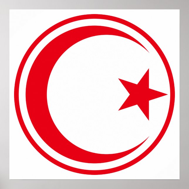 Roundel of Tunisian Air Force Poster (Vorne)