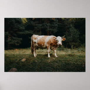 ROUTE UND WEISSE KLEINE POSTER