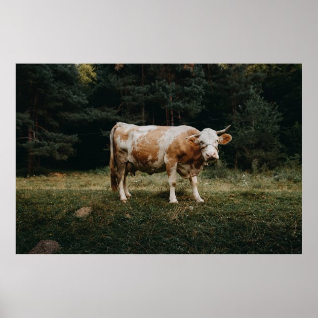 ROUTE UND WEISSE KLEINE POSTER (Vorne)