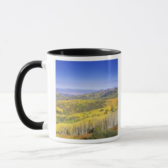 Routinewald in Herbstfarbe, nahe Tasse (Links)