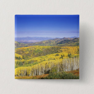 Routt National Forest im Herbst, in der Nähe Button