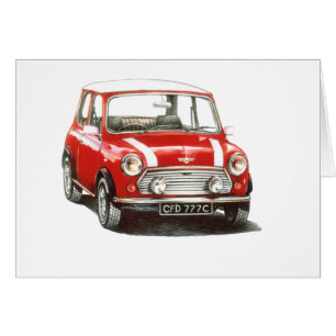 Rover 1991 Mini Cooper