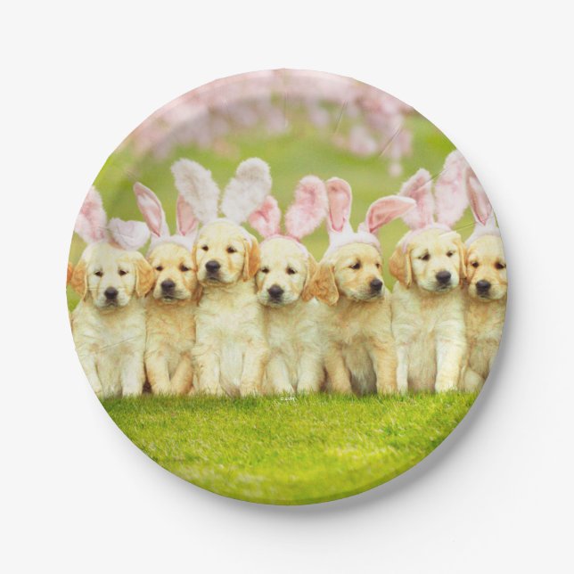 Row of Puppy Bunnies Pappteller (Vorderseite)
