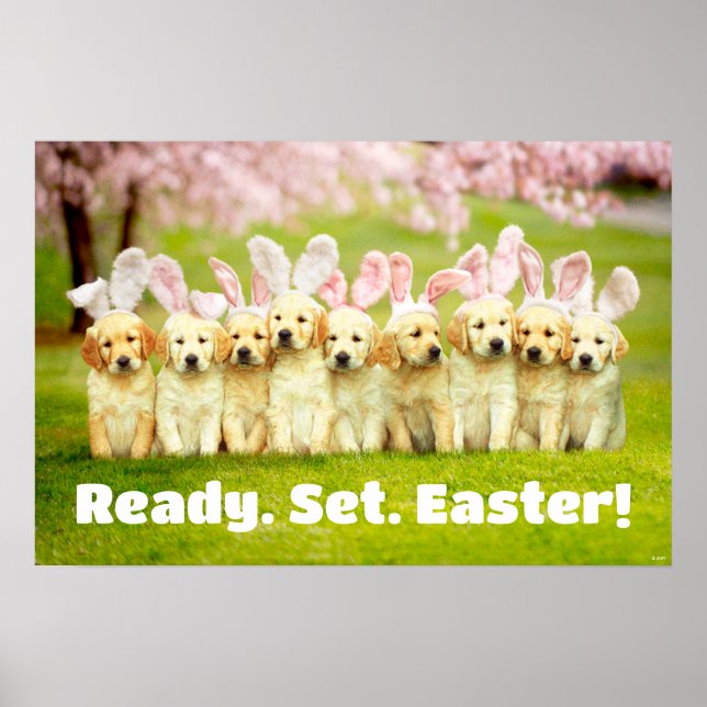 Row of Puppy Bunnies Poster (Vorne)