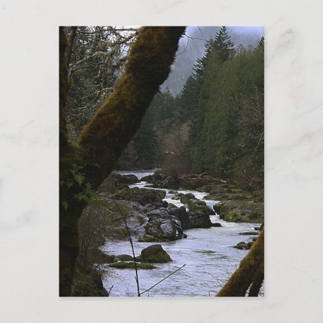 Row River Rapids Postkarte (Vorderseite)