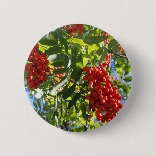 Rowan Button