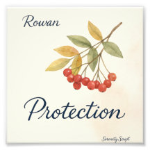 Rowan — Schutz | Serenity Script Collection