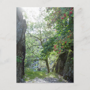 Rowan Tree Tilberthwaite Quarry Card Postkarte